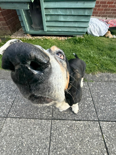 Kilbey’s Creatures