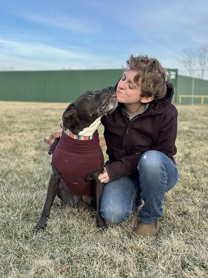 Jack and Jill Dog Training