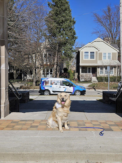 The Dog Wizard - Dog & Puppy Obedience Training Farmington Hills