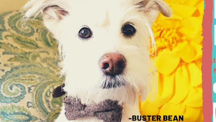 BB's Mobile Grooming and Nail Trimming