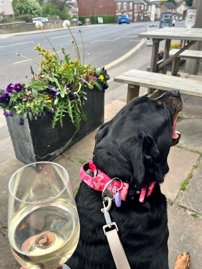 The Perfect Pause - Elite Dog Boarding