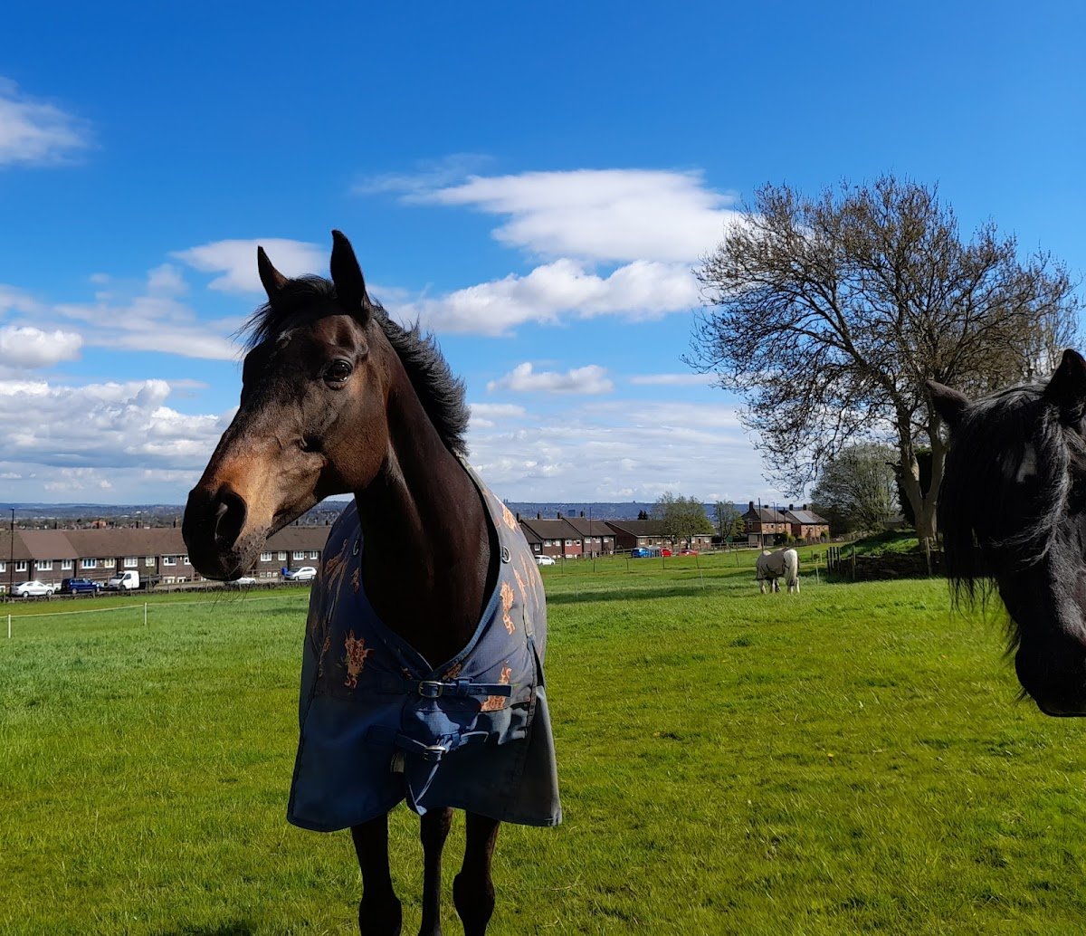 Shaw Hill farm - Photo 2