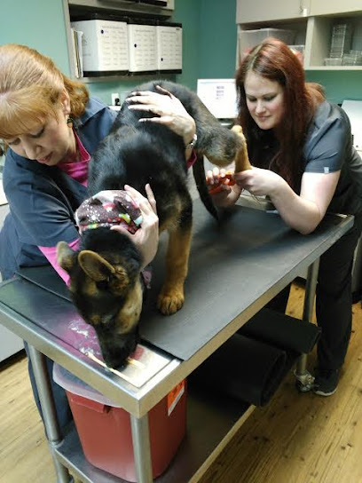 Harvey Animal Hospital