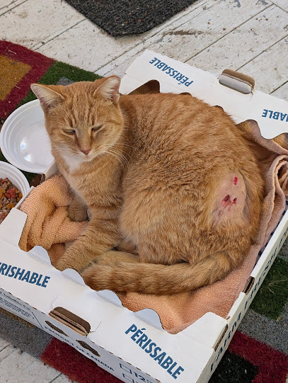 Brack Animal Hospital