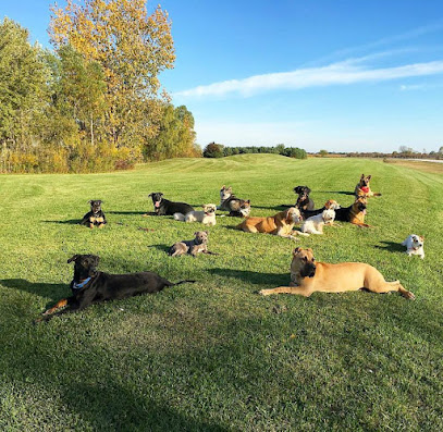 Merrimutt Pet Resort