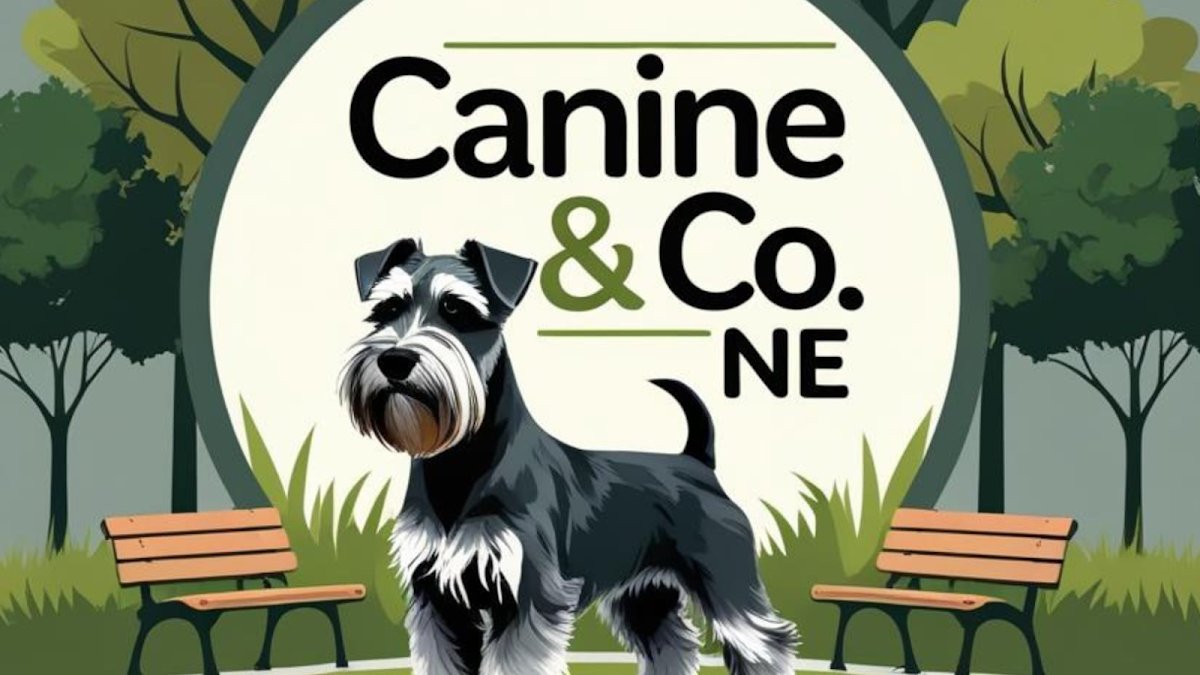Canine & Co.NE - Photo 2