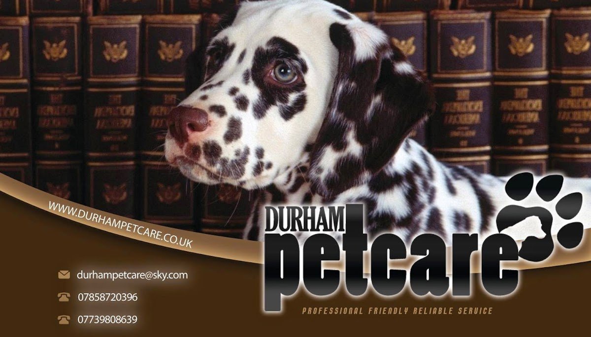 Durham Petcare - Photo 2
