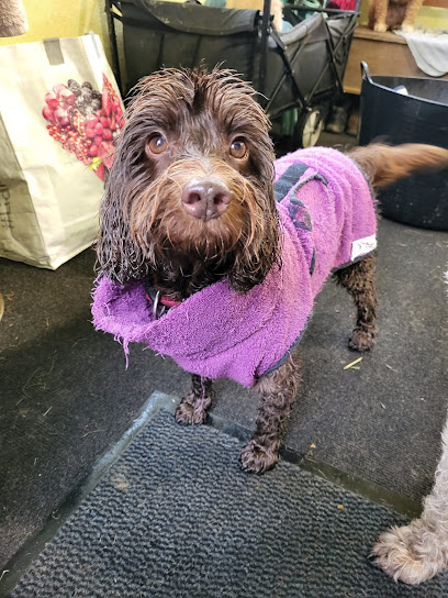 Ponteland Pampered Pooch