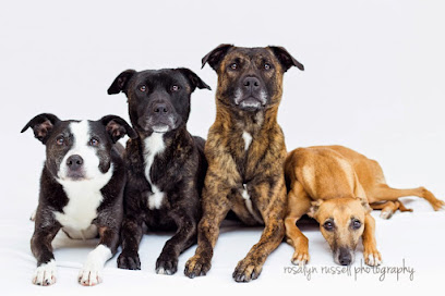 Einstein Dog Training