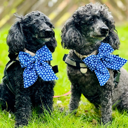 Fast and Furry Ltd, Gateshead