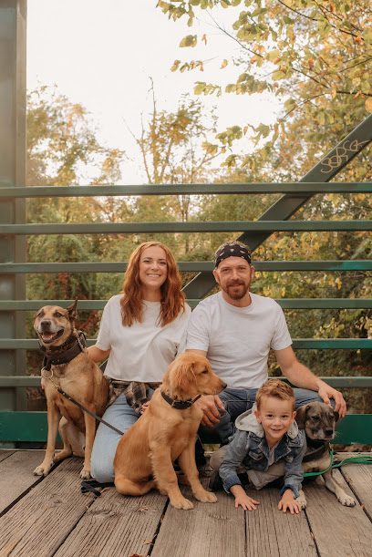 Know Better Dog Training