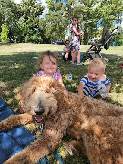 K9 AdvantEDGE Dog Training