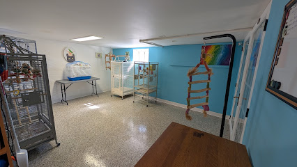 Seguin's Parrotlets and Pets