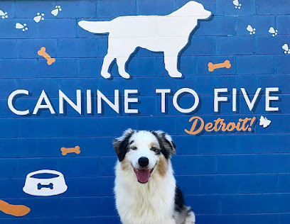 Canine To Five