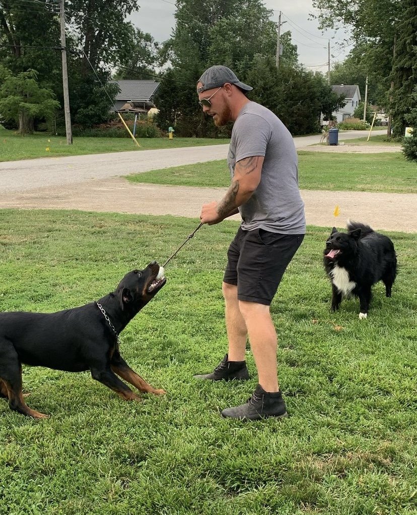 519K9 - Photo 2