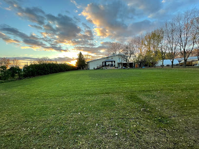 Duke Manor Pet Service