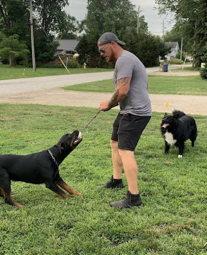 519K9 - Pet Shop in Detroit