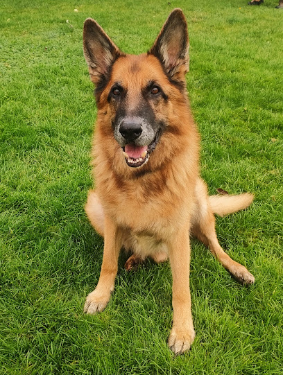 Northumberland Dog Care - Pet Shop in Newcastle