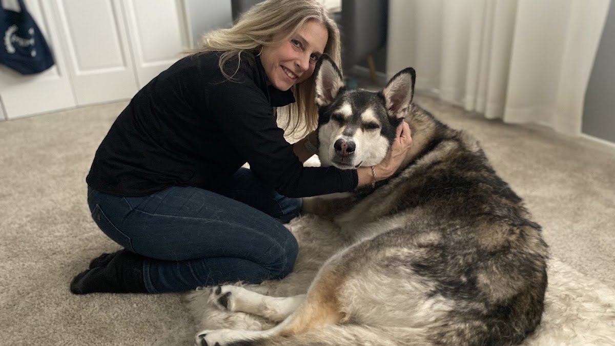 Artemis Dog Massage - Photo 2