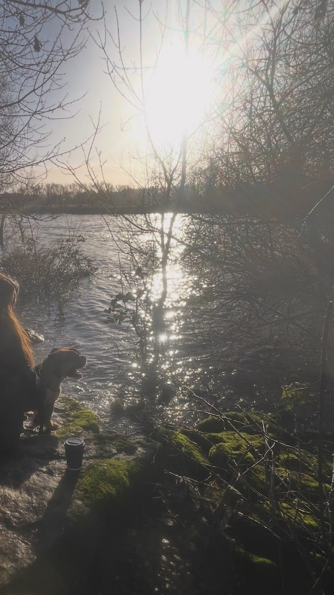 Walkies With Lucy - Photo 2