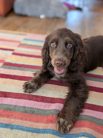 houndhaus west bridgford