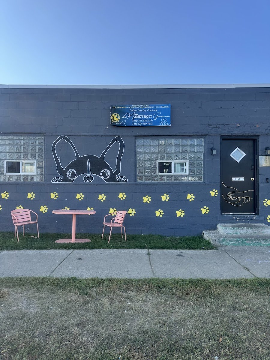 Royal Decision & Co. Pet Spa - Photo 2