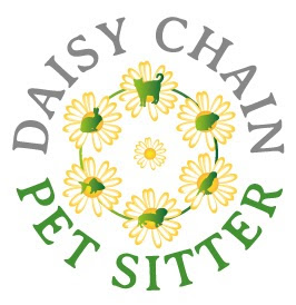 Daisy Chain Pet Sitter