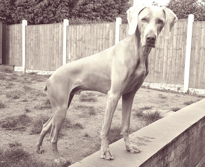 Purr-ky Pet Services