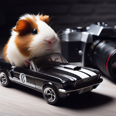 Avalon Guinea Pig Rescue