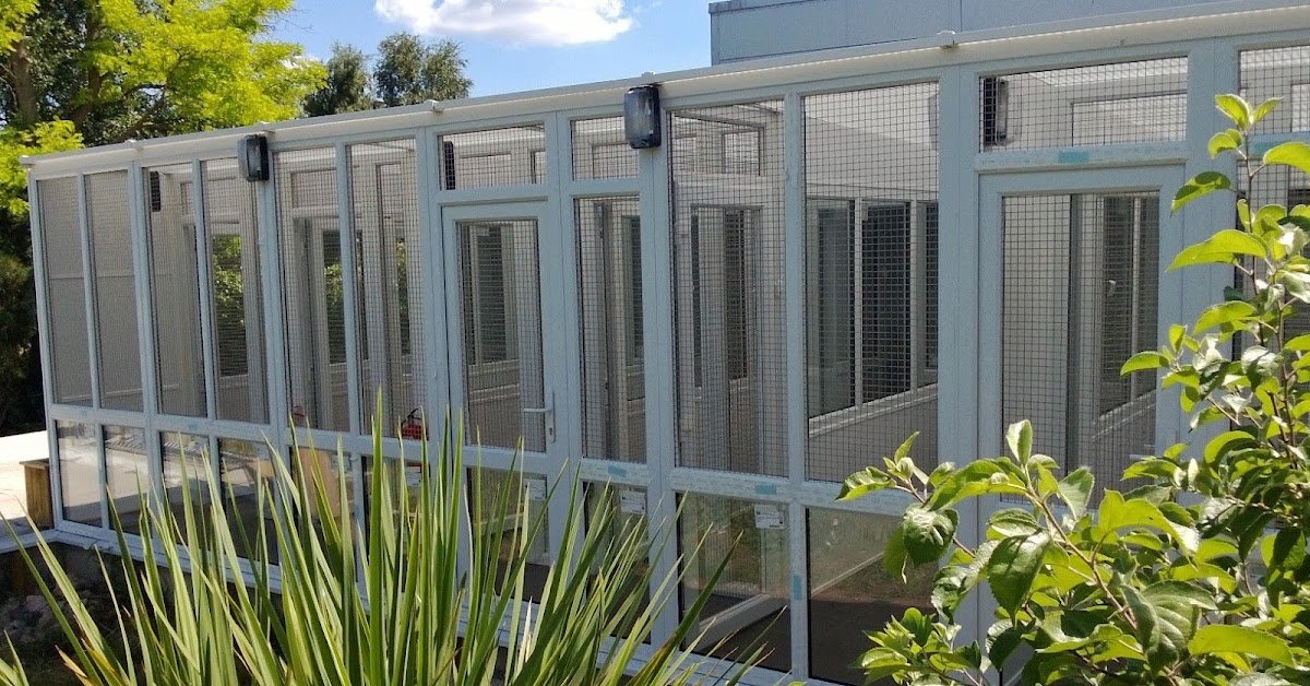 Whitehouse Cattery - Photo 2