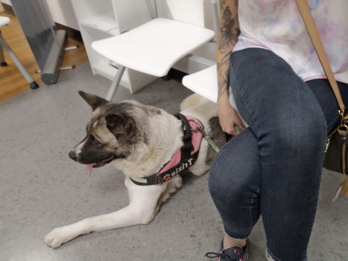 Pets At Home - Photo 3
