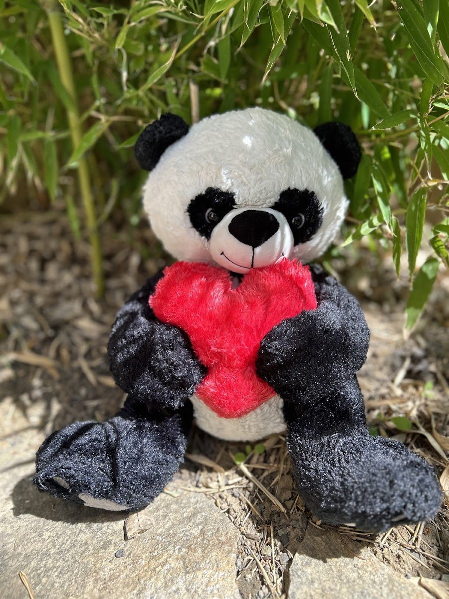 Tiny PanPan Chinese Immersion Nature School - Photo 2