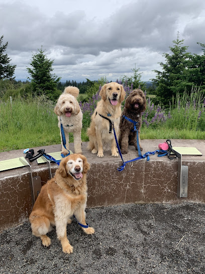 Surf’s Pup Doggie Lounge