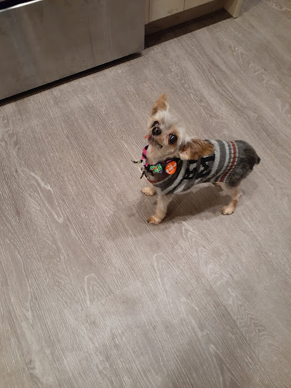 Heather's Finest Dog and Cat Grooming