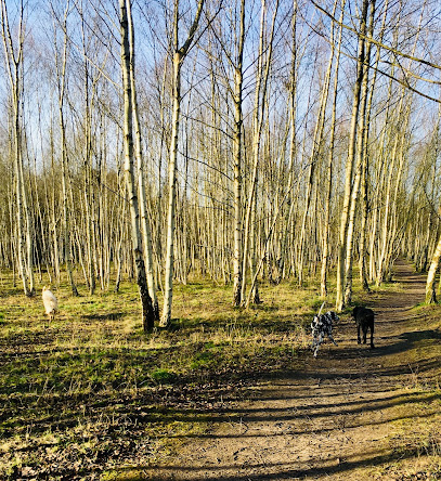 Agi’s Dog Walks and Care - Pet Shop in Nottingham