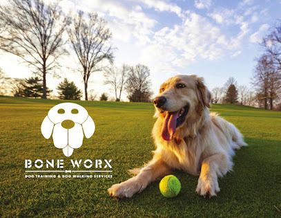 Bone Worx, LLC