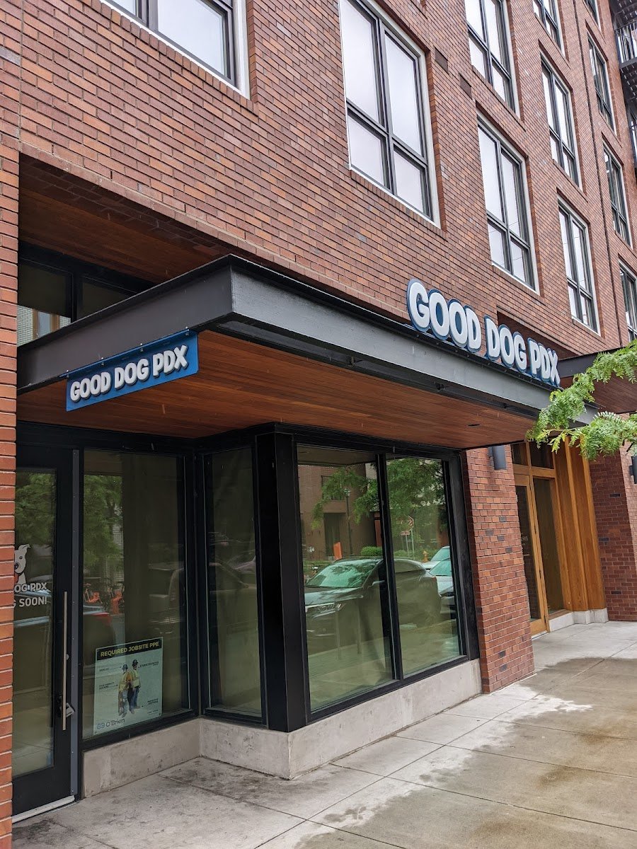 Good Dog PDX - Photo 2