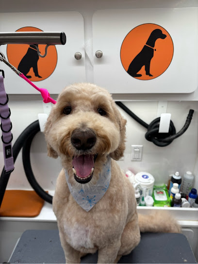 Furry Land Mobile Pet Grooming Portland