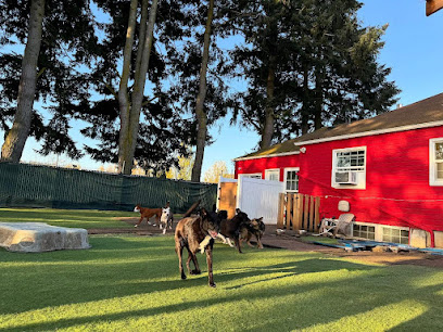 Woof-Tastic Playhouse