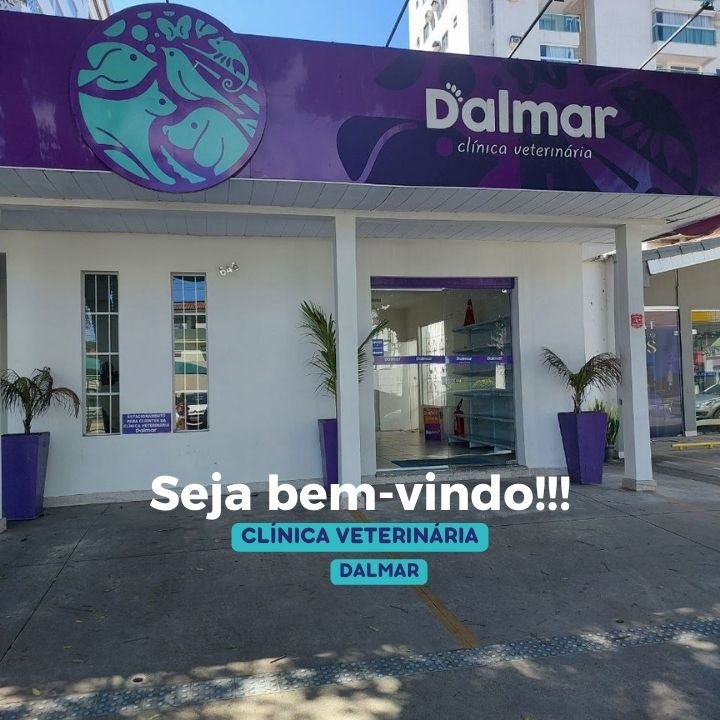 Clínica Veterinária Dalmar