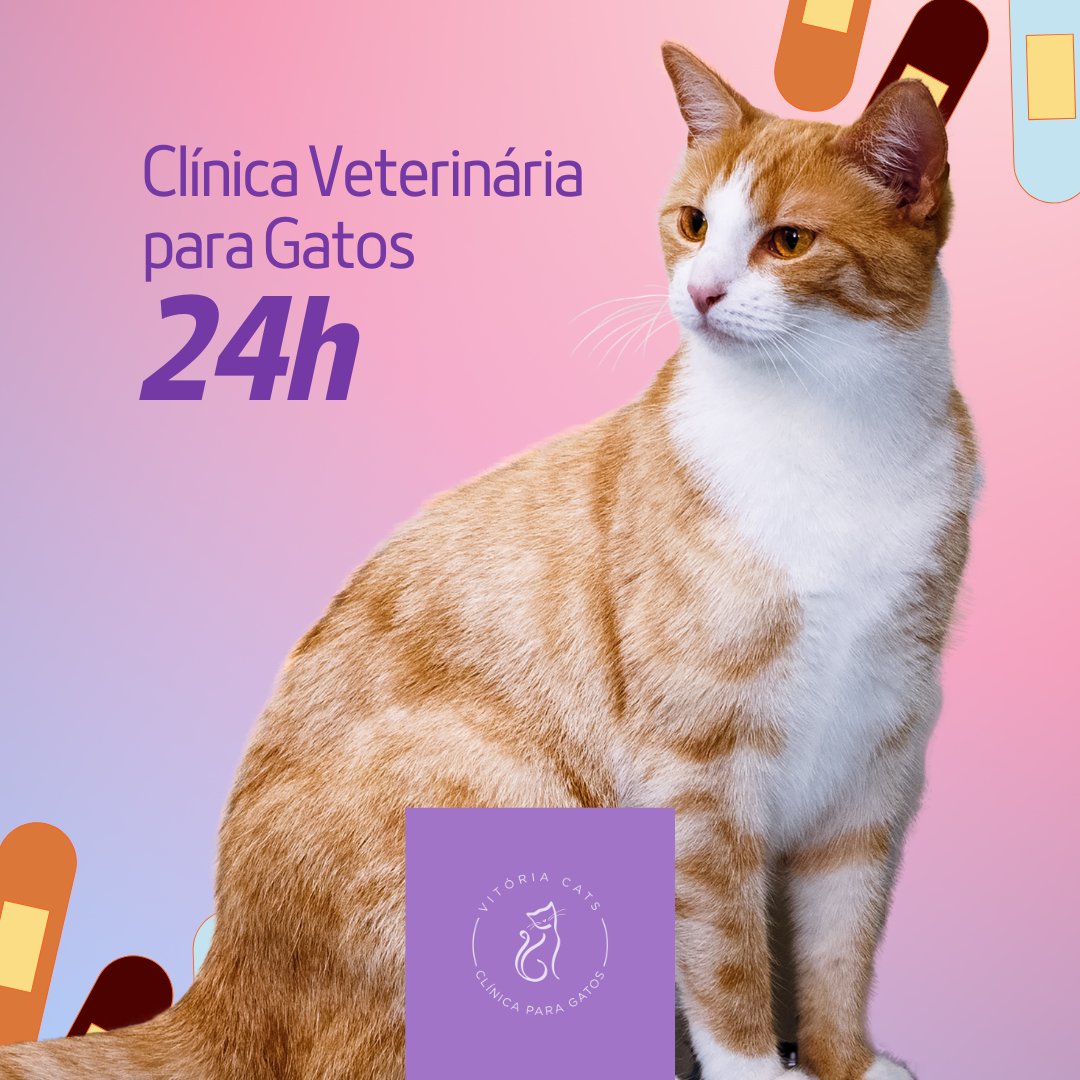 Veterinary Clinic Mascot