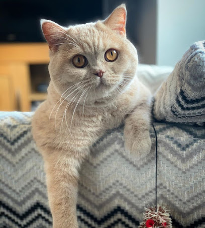 Purr Pots Pet Sitting