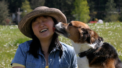 The Cooperative Canine - Portland, OR