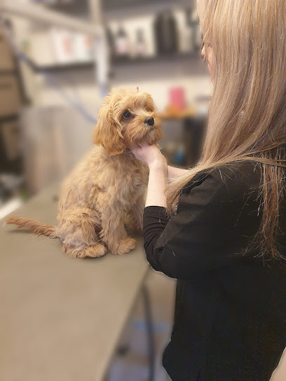 Chapel Hill Groomers - Pet Shop in Leicester