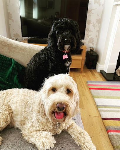 The Pet and House Sitter