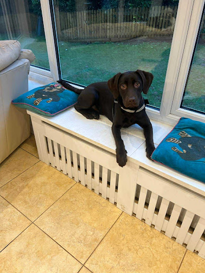 Kingswood Small Dog Home Boarding and Day Care