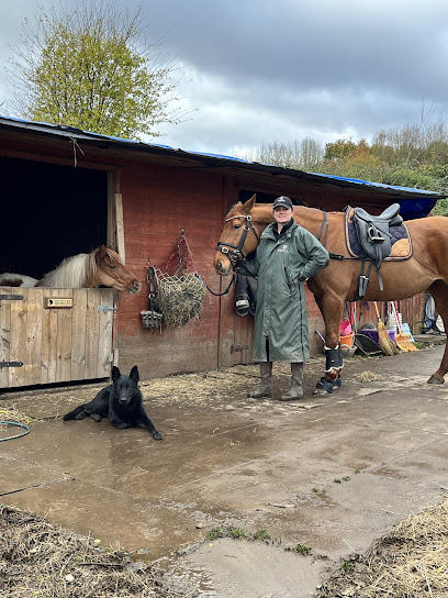 Vislor Dog Training - Coventry