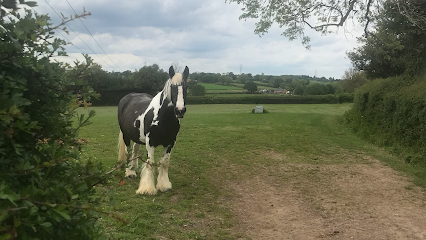 Field View Livery Yard