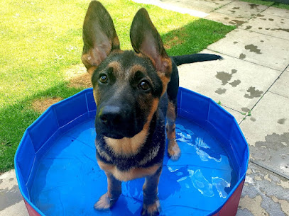 Pawsome Strolls Bedworth