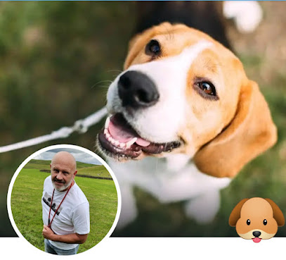 DJ's Dog Walks - Pet Shop in Bradford
